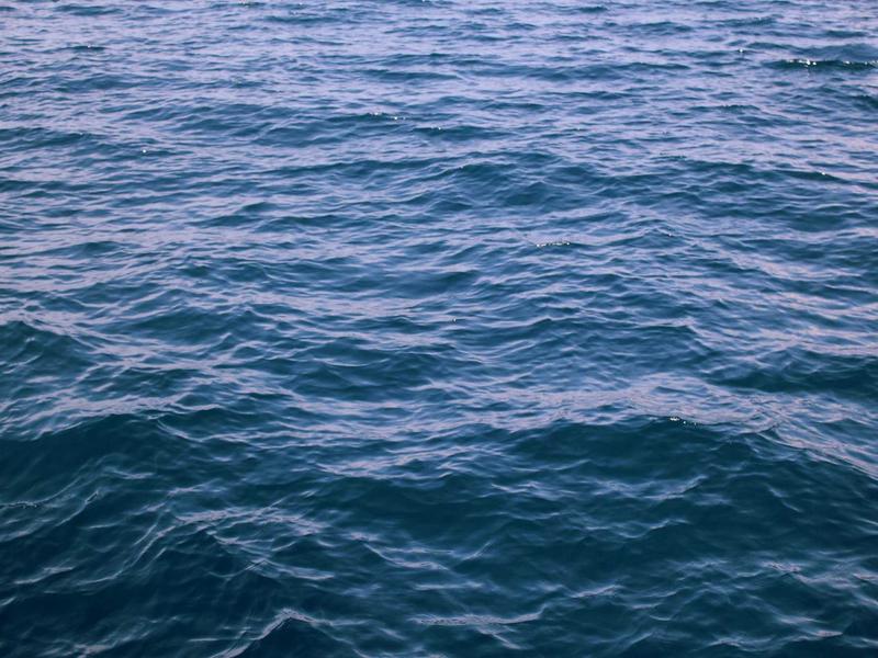 1. Hyper-Personalized AI-Driven Itineraries & Concierge Services