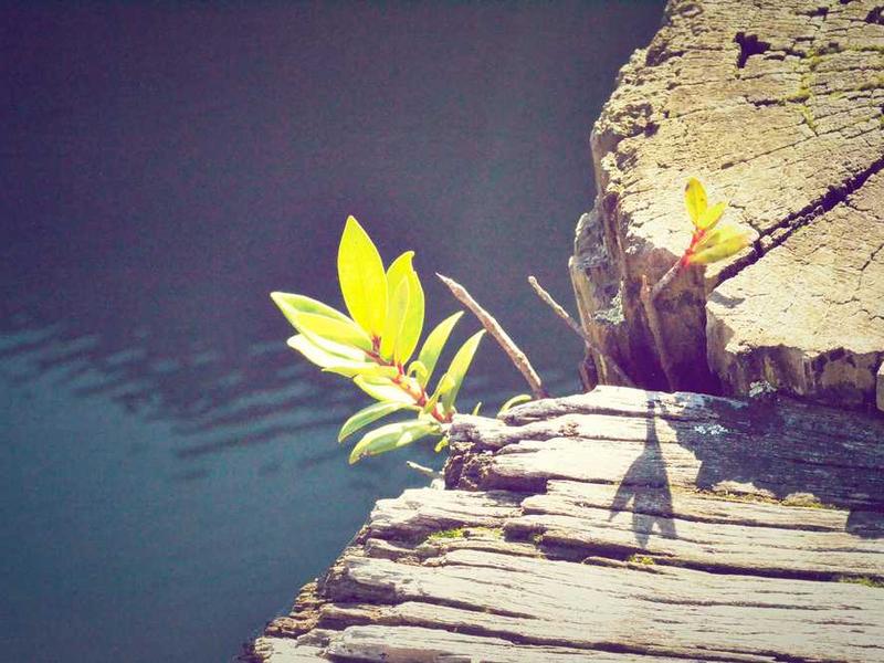 1. The Sustainable Lodging Audit: Prioritizing Verified Impact (Hack 1)