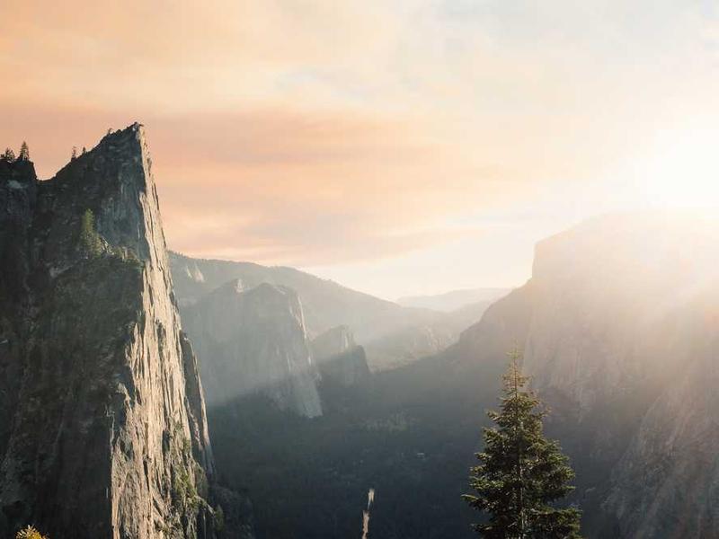 2. Advanced Mental Health & Emotional Well-being Support