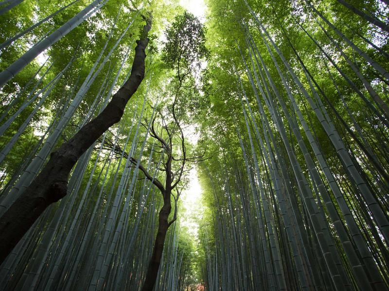 2. Crafting Your 2026 Home Sanctuary: Beyond Aesthetics