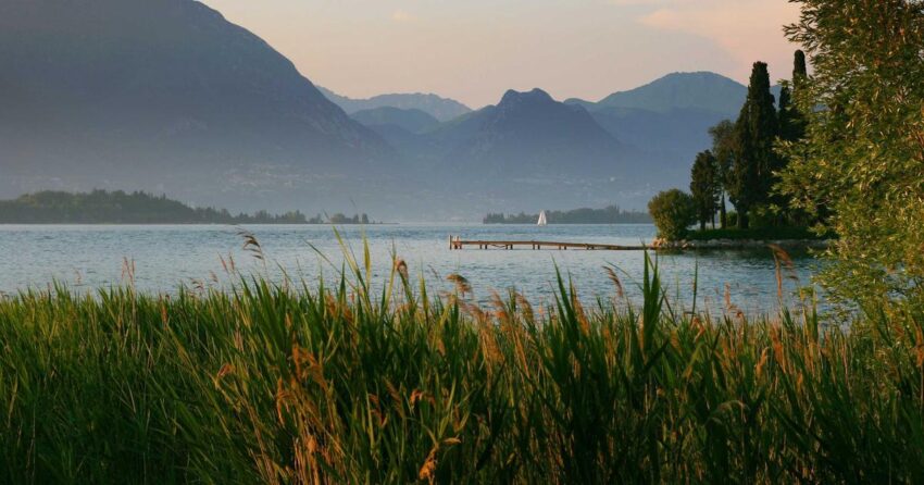 26 DIY Digital Projects Revolutionizing 2026: Your Guide to Creative Empowerment