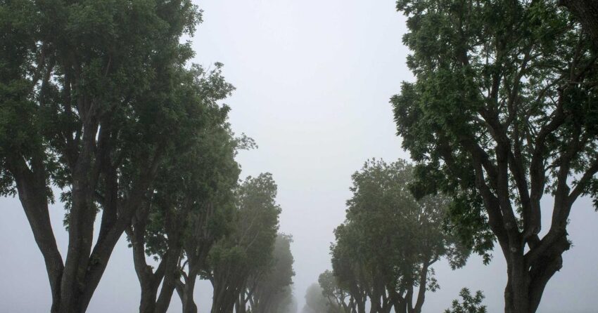 8 Hacks: Mastering Your Digital Productivity and Skill Evolution in 2026