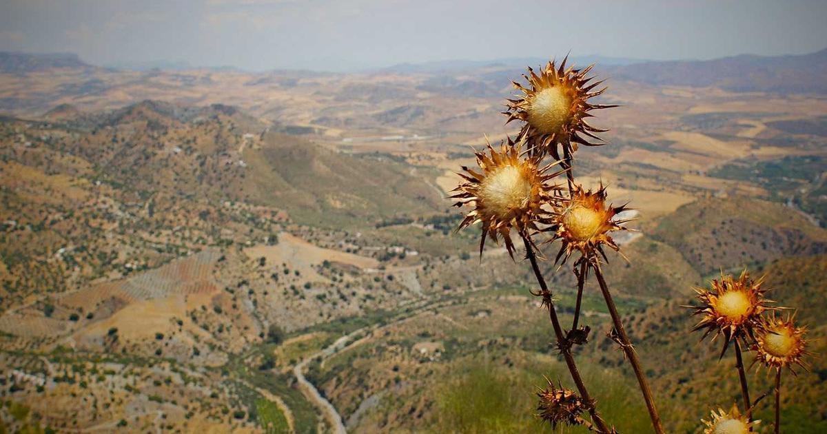 9 Micro-Habits for Transformative Health & Wellness in 2026