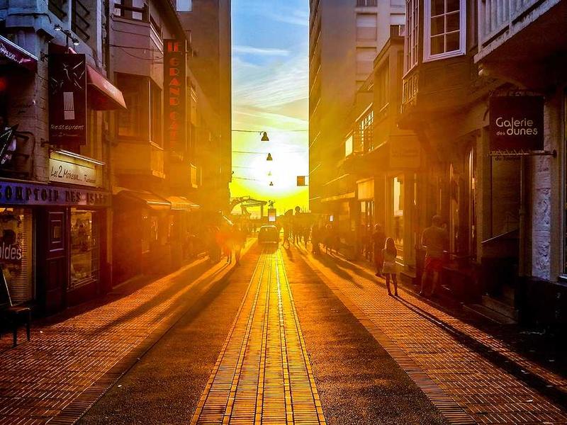 Building Your Digital Empire with No-Code & Low-Code Platforms