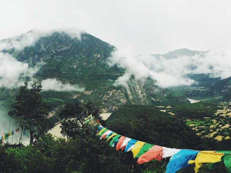 Cultivating Physical Vitality: Movement & Hydration Micro-Boosts