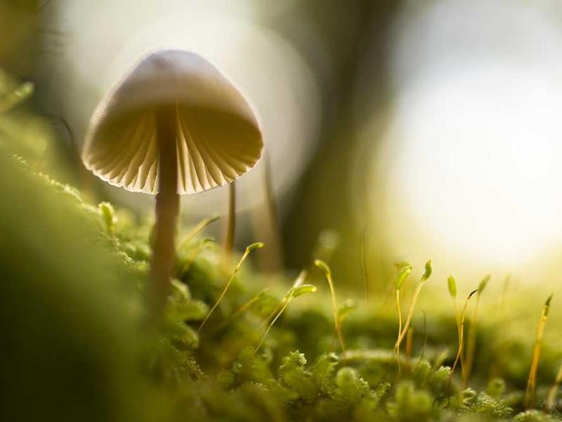 Defining the 'Quantum Gap': Why Incrementalism Fails Now