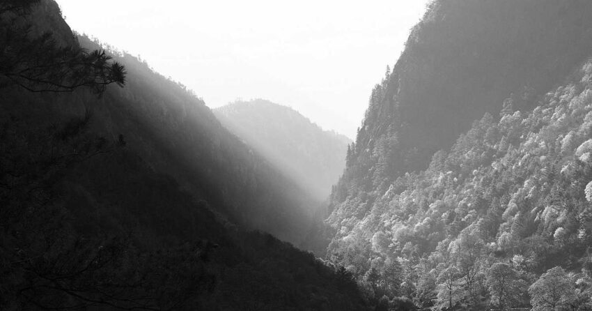 Embrace Clarity: Your Smart Home Detox Guide for 2026