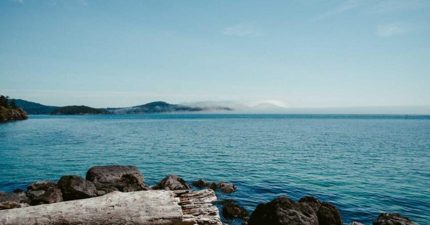 Future-Proof Your Career & Education: Essential Strategies for 2026 and Beyond