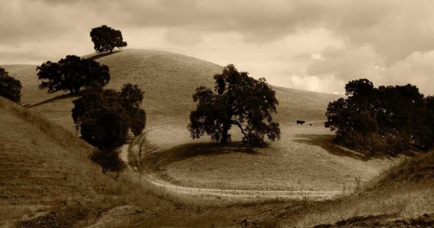 Future-Proofing Your Potential: Essential Personal Development Strategies for 2026