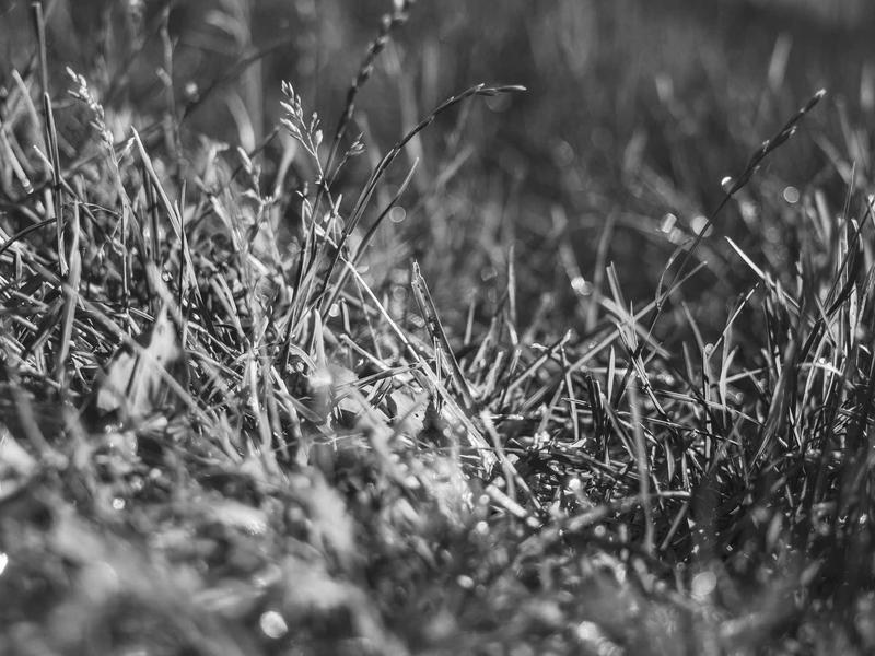 Harnessing AI for Next-Level Digital Creativity