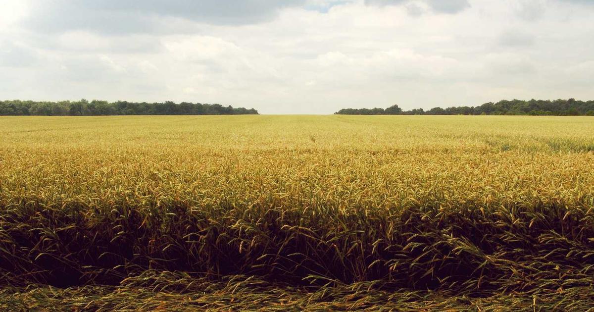 Mastering Your Potential: AI-Powered Personal Development Strategies for 2026