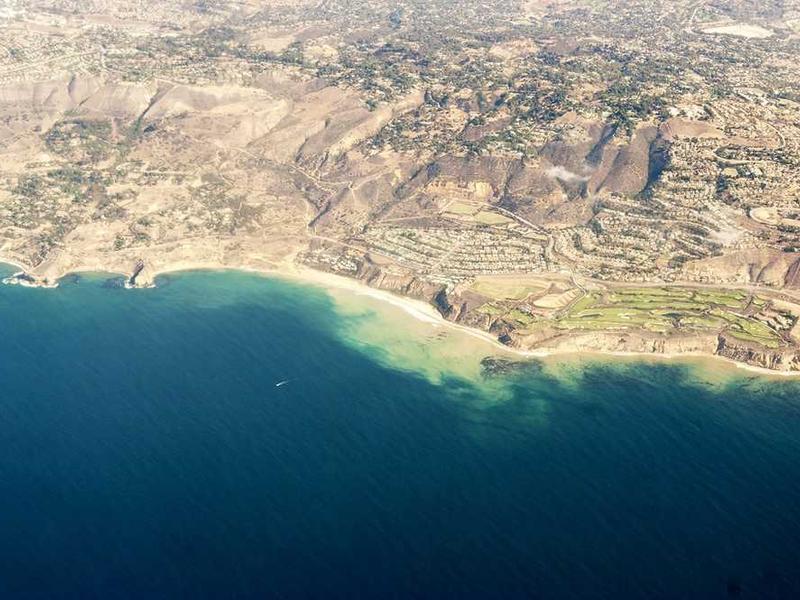 Navigating Duality: Balancing Competing Priorities for Sustainable Success