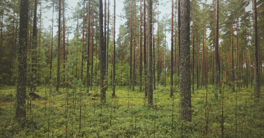 Navigating Tomorrow: Key Technology Frontiers Shaping Our Future in 2026