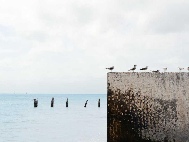 Nurturing Your Inner Ecosystem: Mind, Body & Well-being