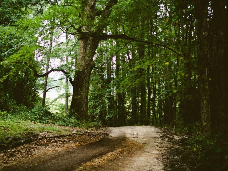 Tech-Augmented Creativity: Integrating Smart Tools into Your Workflow