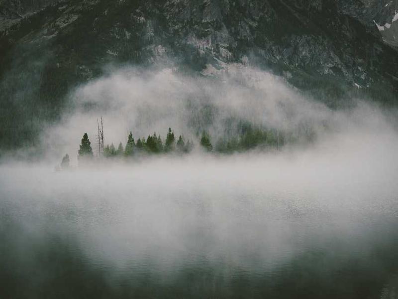 The 20% Principle: Driving Growth & Efficiency