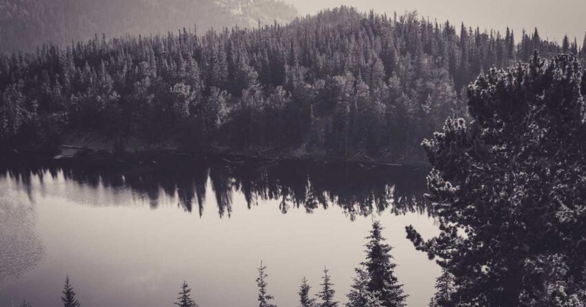 The 7 Pillars of Digital Privacy: Your 2026 Blueprint for a Secure Online Life