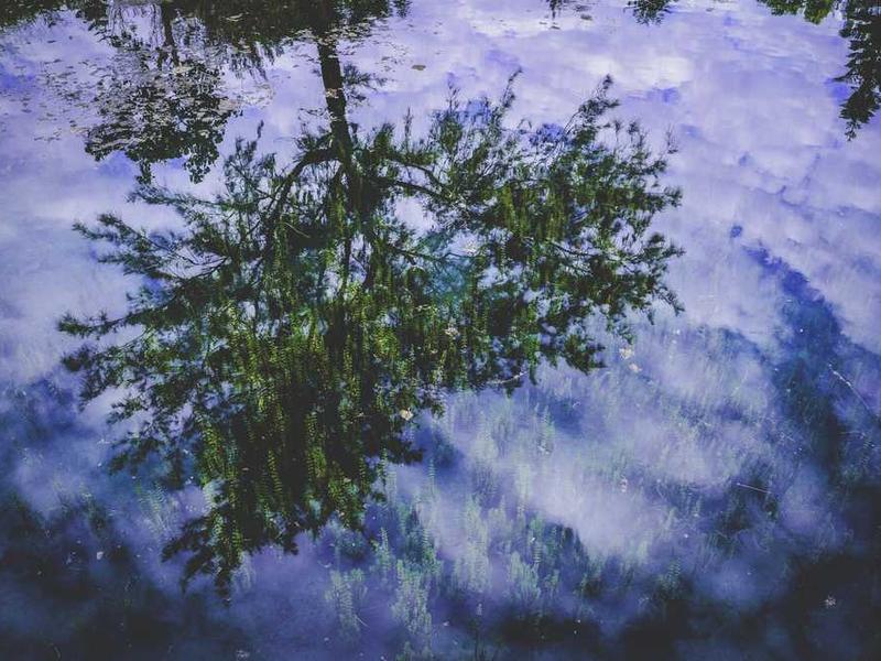 The Dawn of Hyper-Personalized Planning & Booking