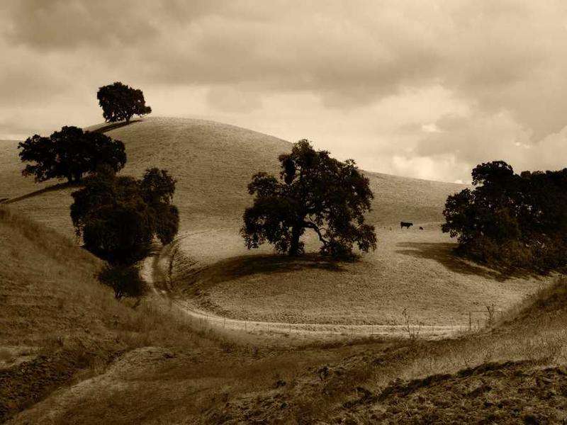 The Digital Clutter Conundrum: Streamlining Your Ecosystem