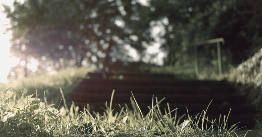 The Power of 20: Strategic Insights for Business Growth and Resilience in 2026