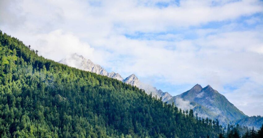 The Power of 20: Unlocking Optimal Health and Wellness in 2026