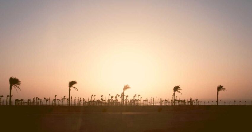 The Second Act of DIY: Scaling Your Creative Side Hustle for Profit in 2026