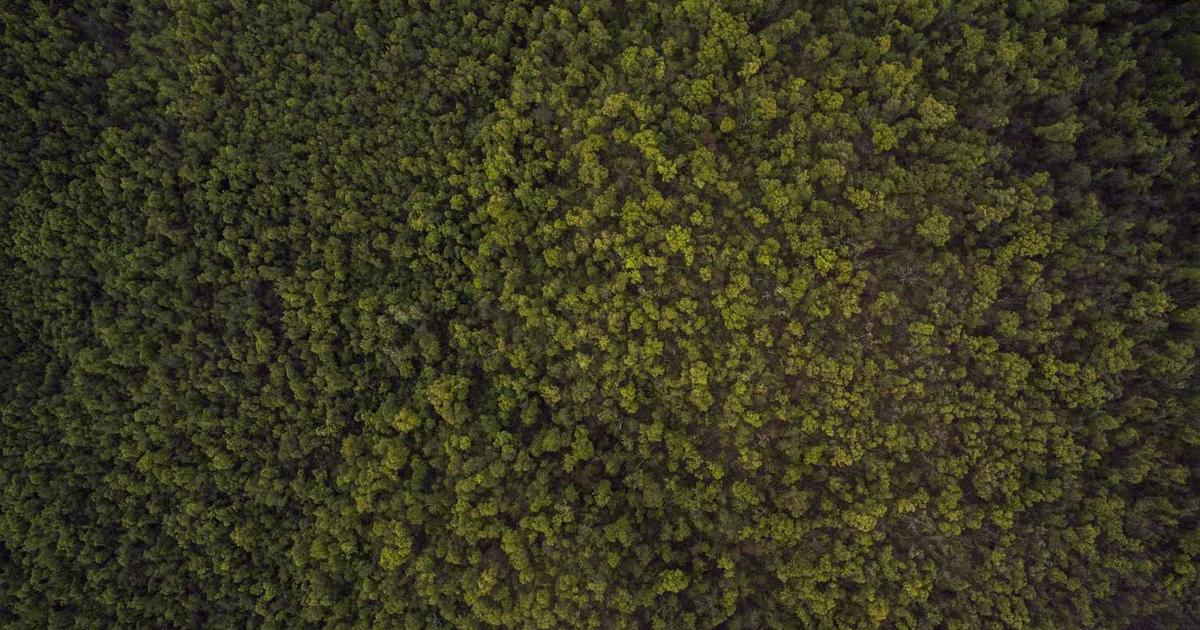 Unlock Your Entrepreneurial Dream: 5 Steps to Launch a Thriving Business in Today's Market