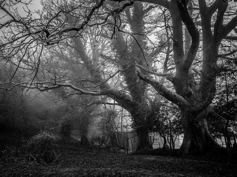 Why Upcycle Now? Economic, Environmental, and Creative Impulses