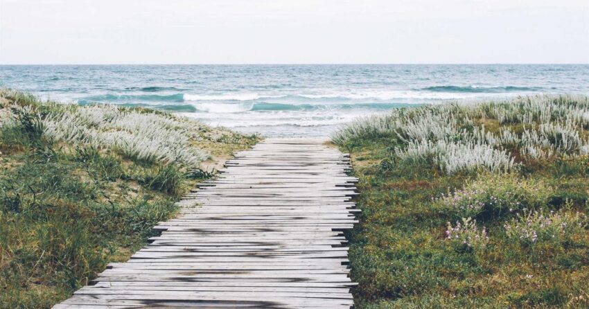 Beyond the Hype: Mastering Business Resilience and Growth Strategies for 2026 and the New Economic Era