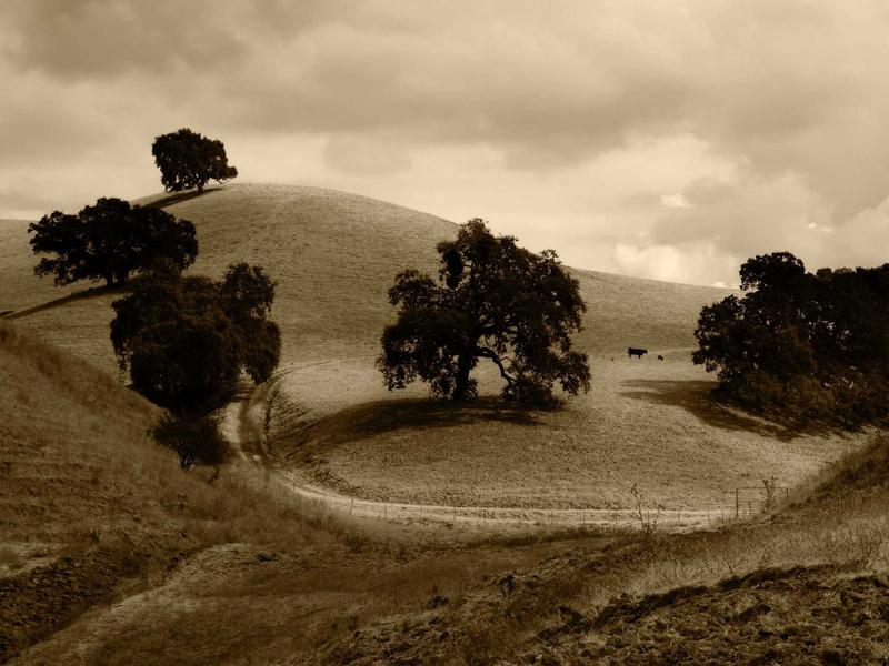 Hyper-Personalized Health: Your Unique Blueprint