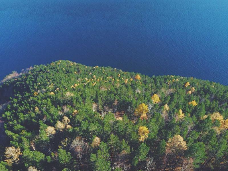 Optimizing Your Eco-Home with Smart Technology