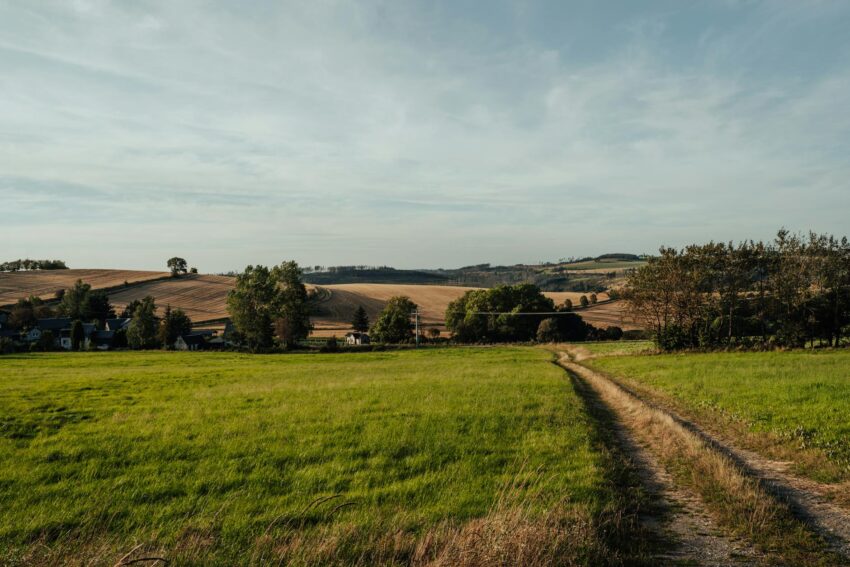 Picturesque rural landscape featuring lush fields and a winding dirt pathway under a clear sky.