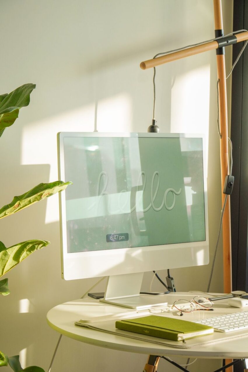 Stylishly arranged office desk with computer and plant, bathed in natural light.